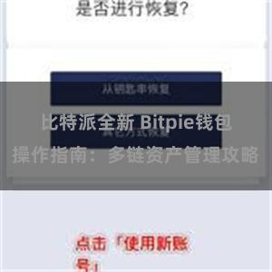 比特派全新 Bitpie钱包操作指南：多链资产管理攻略