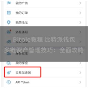Bitpie教程 比特派钱包多链资产管理技巧：全面攻略
