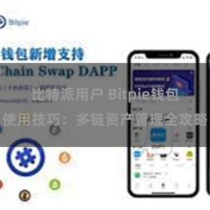 比特派用户 Bitpie钱包使用技巧：多链资产管理全攻略