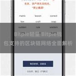 Bitpie轻量 Bitpie钱包支持的区块链网络全面解析