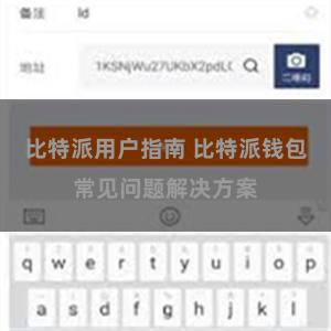 比特派用户指南 比特派钱包常见问题解决方案