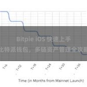 Bitpie iOS 快速上手比特派钱包，多链资产管理全攻略