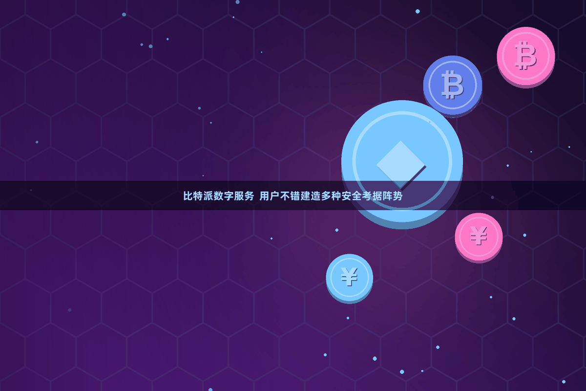 比特派数字服务  用户不错建造多种安全考据阵势